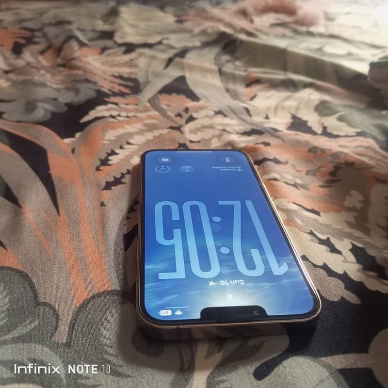 Apple iPhone 13 Pro Max 2