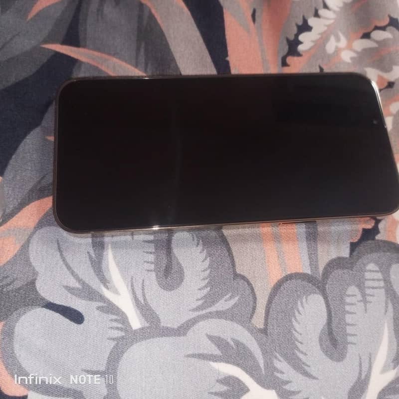 Apple iPhone 13 Pro Max 4