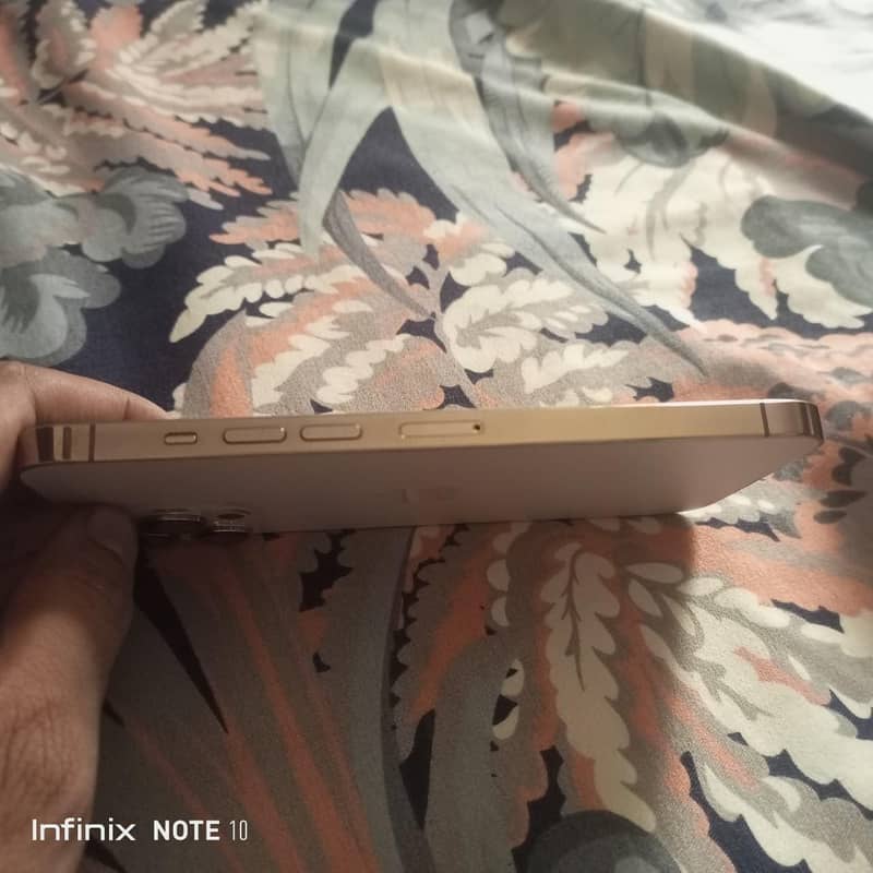 Apple iPhone 13 Pro Max 6