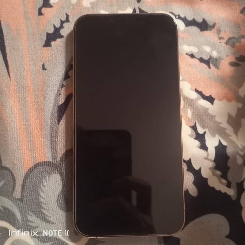 Apple iPhone 13 Pro Max 9