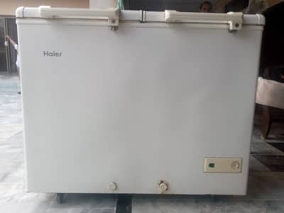 Haier Frezzor