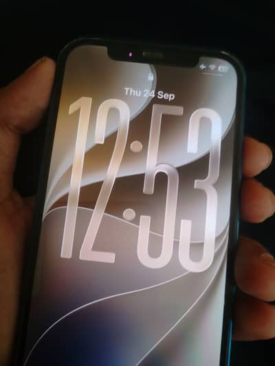 Apple iPhone 12 all ok family use mbl ha