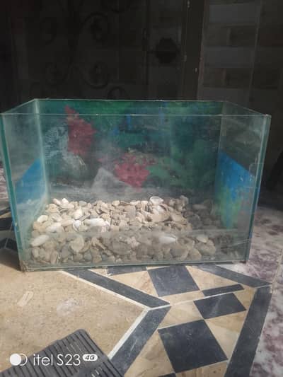 fish aquarium full box