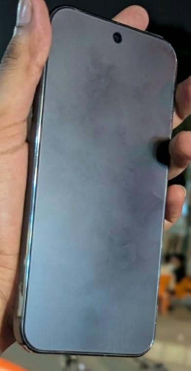 Google Pixel 9 Pro XL 1