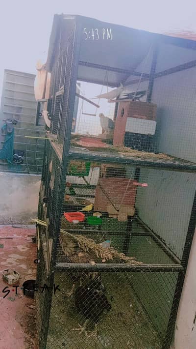 good condition for cage