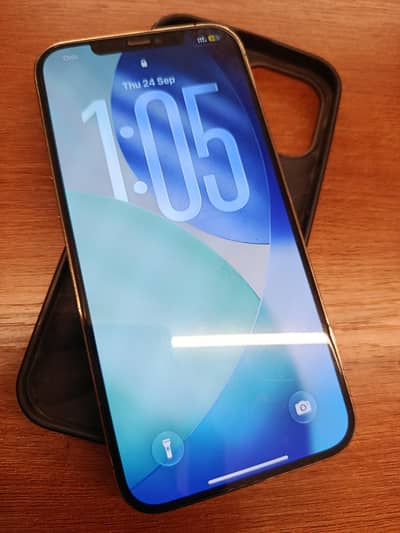 Apple iPhone 12 Pro Max