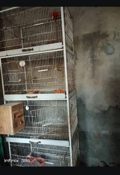 birds cage