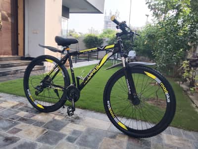 29 inch imported cycle aluminium