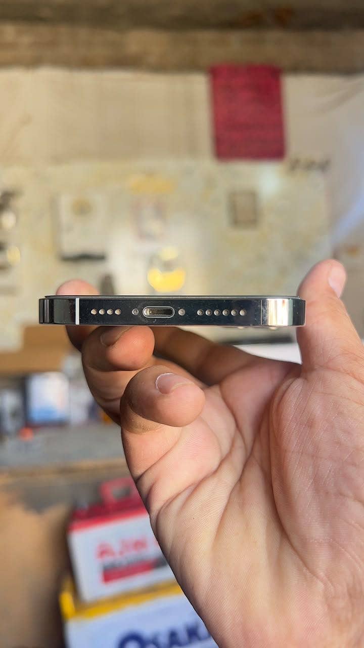 Apple iPhone 13 Pro Max 1