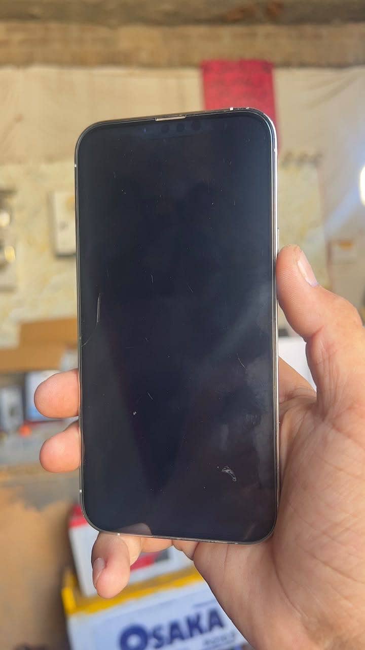 Apple iPhone 13 Pro Max 5