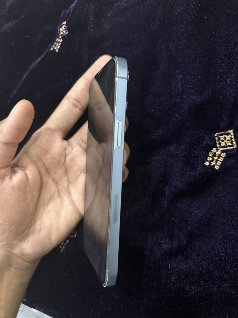 Apple iPhone 13 Pro Max 1