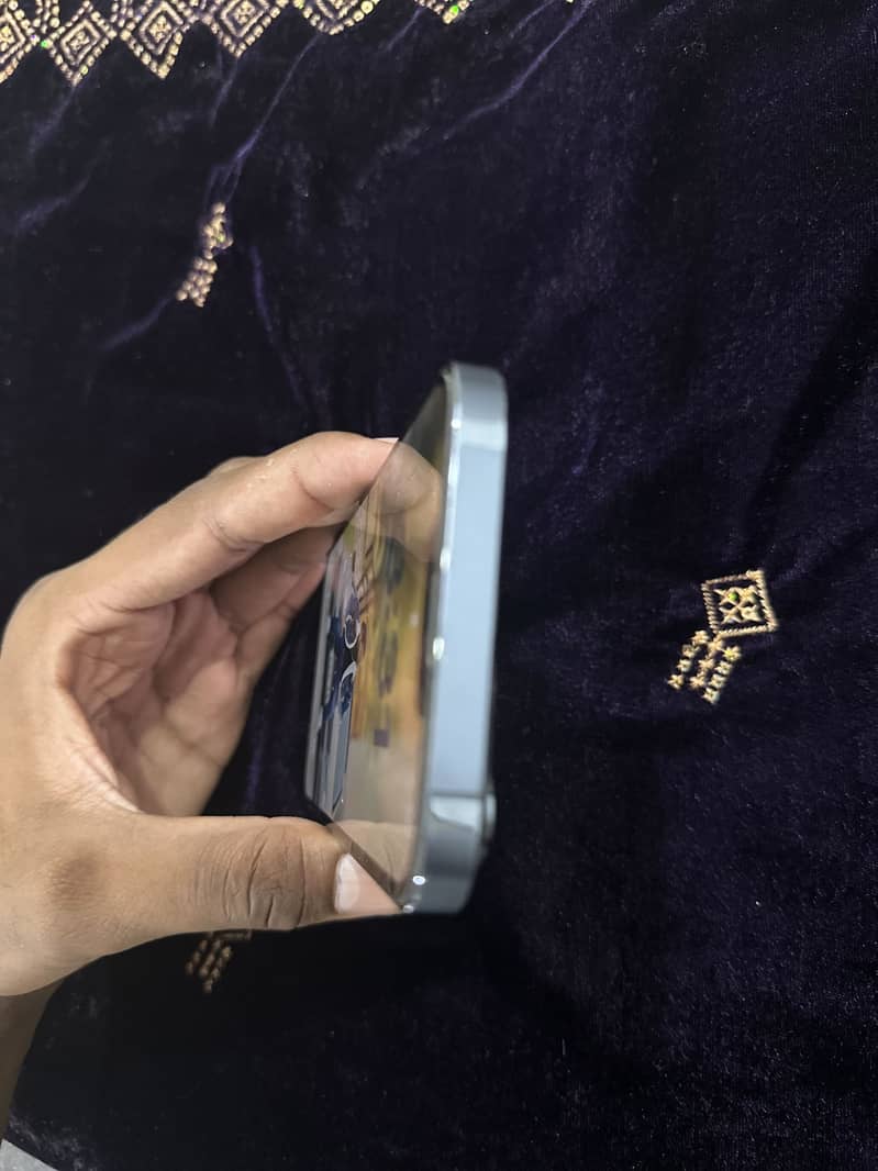 Apple iPhone 13 Pro Max 2