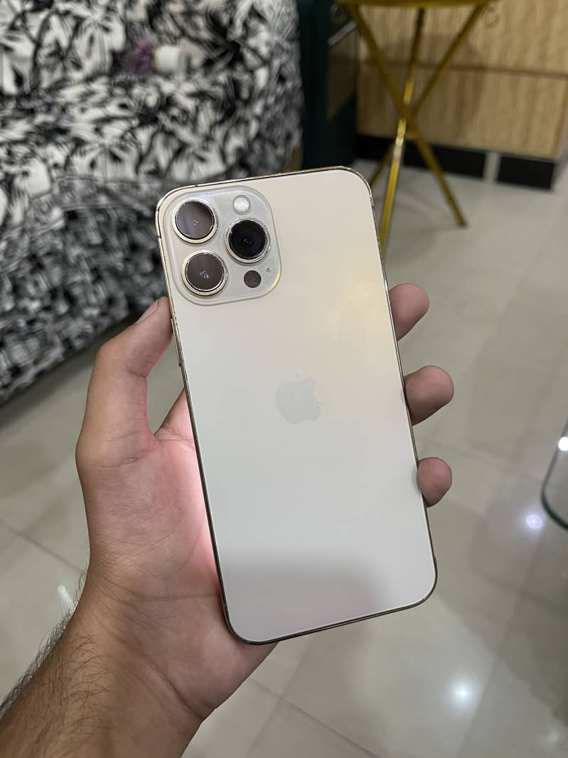 Apple iPhone 13 Pro Max 1