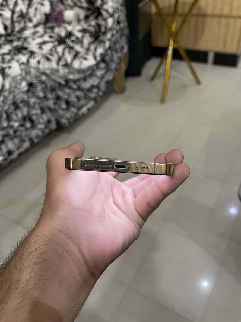 Apple iPhone 13 Pro Max 2