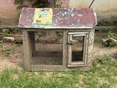 Nesting box for love birds & Buggies