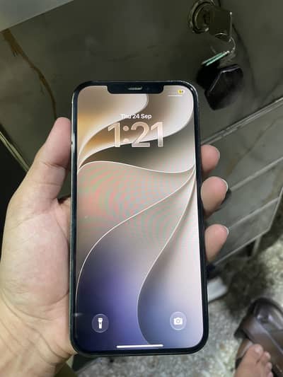 Apple iPhone 12 Pro Max