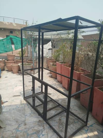 Cage for parrot and piegon