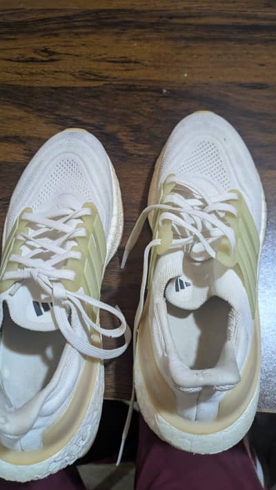orignal Adidas ultrabroost