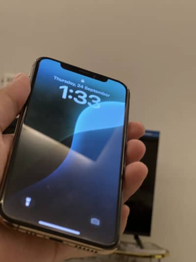Iphone XS