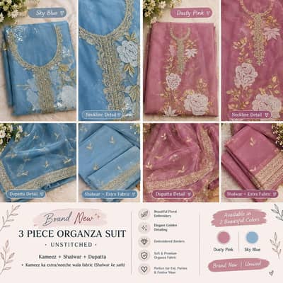 beautiful organza 3 piece suit