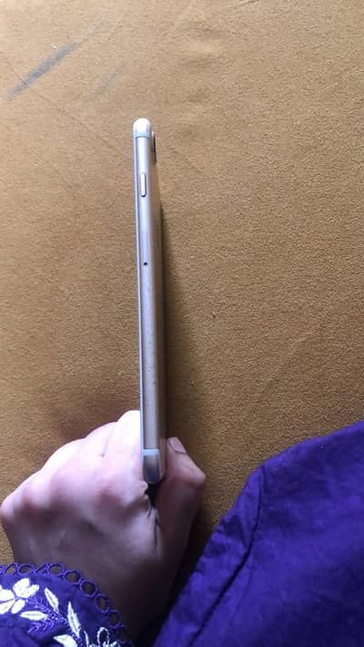 iphone 7 plus