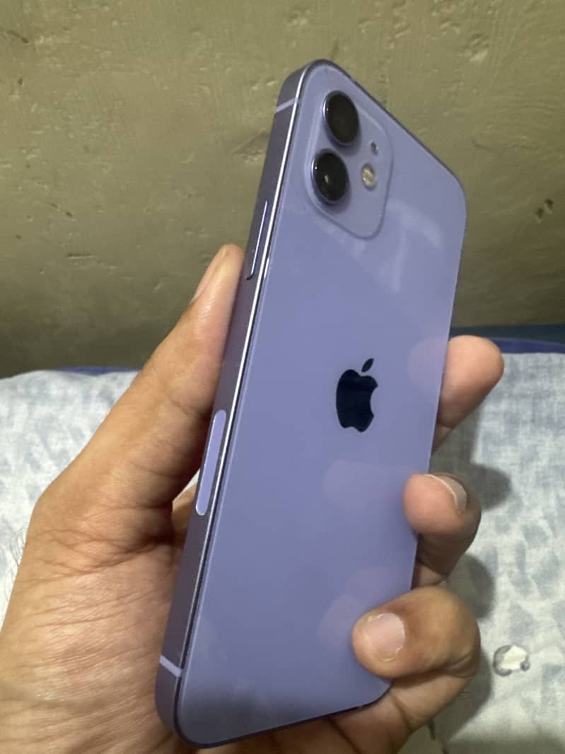 Apple iPhone 12 1
