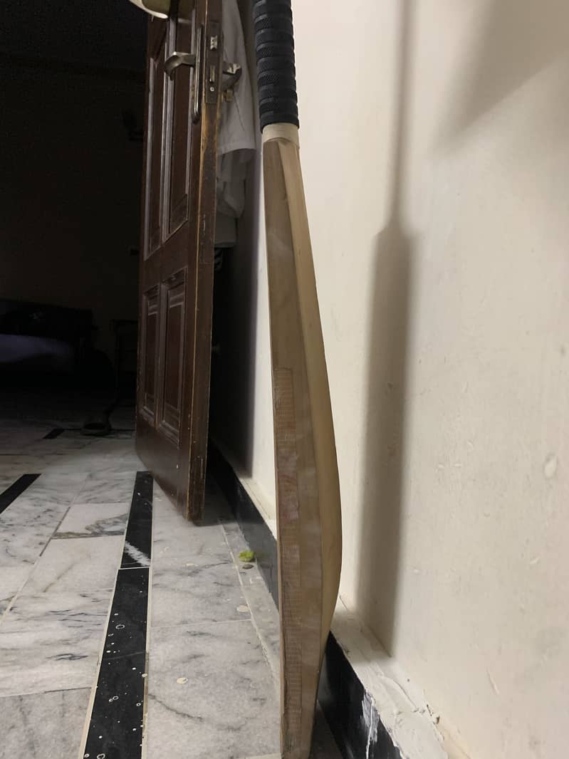Cricket Bat 1