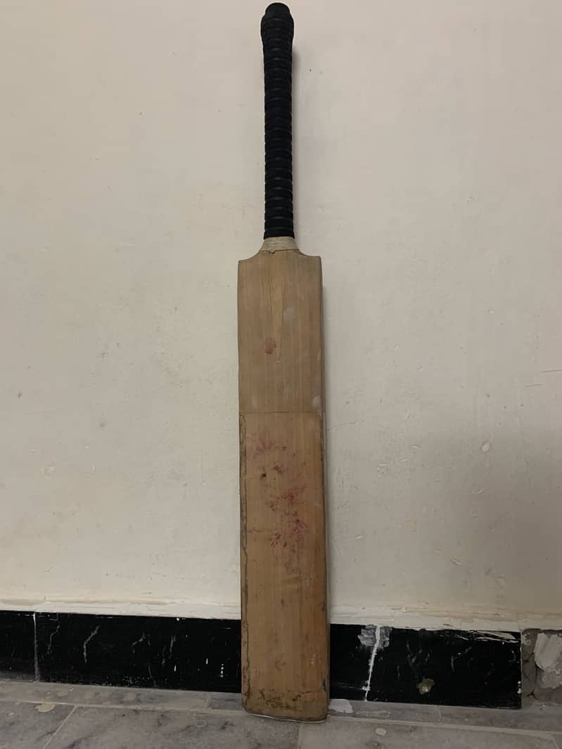 Cricket Bat 2