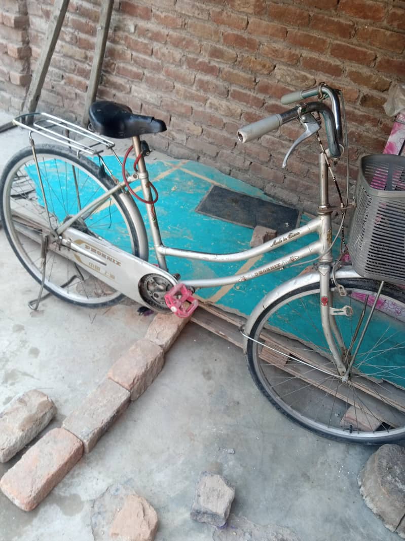 bicycle 2