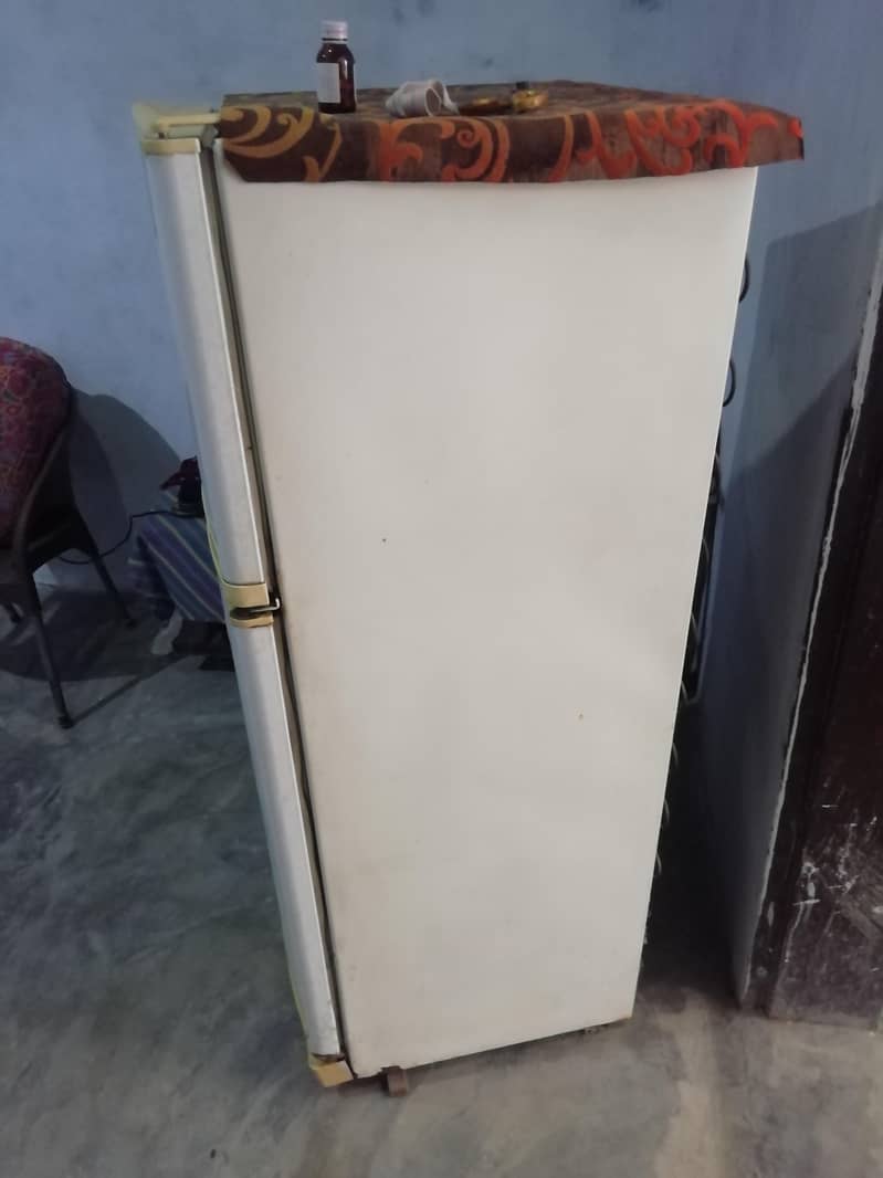 fridge 5