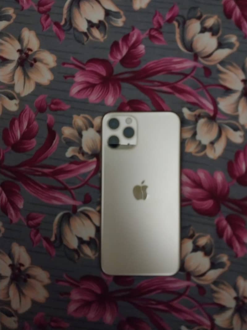 Apple iPhone 11 Pro 1