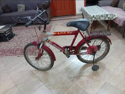 Eagle Supreme 20 Inch Kids cycle with Training Wheel & Carrier
