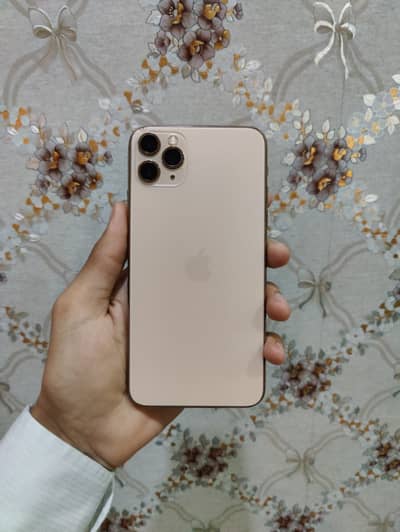 IPhone 11 Pro Max Exchange Possible