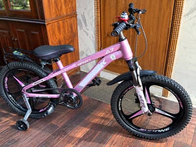 20 inches imported Bicycle