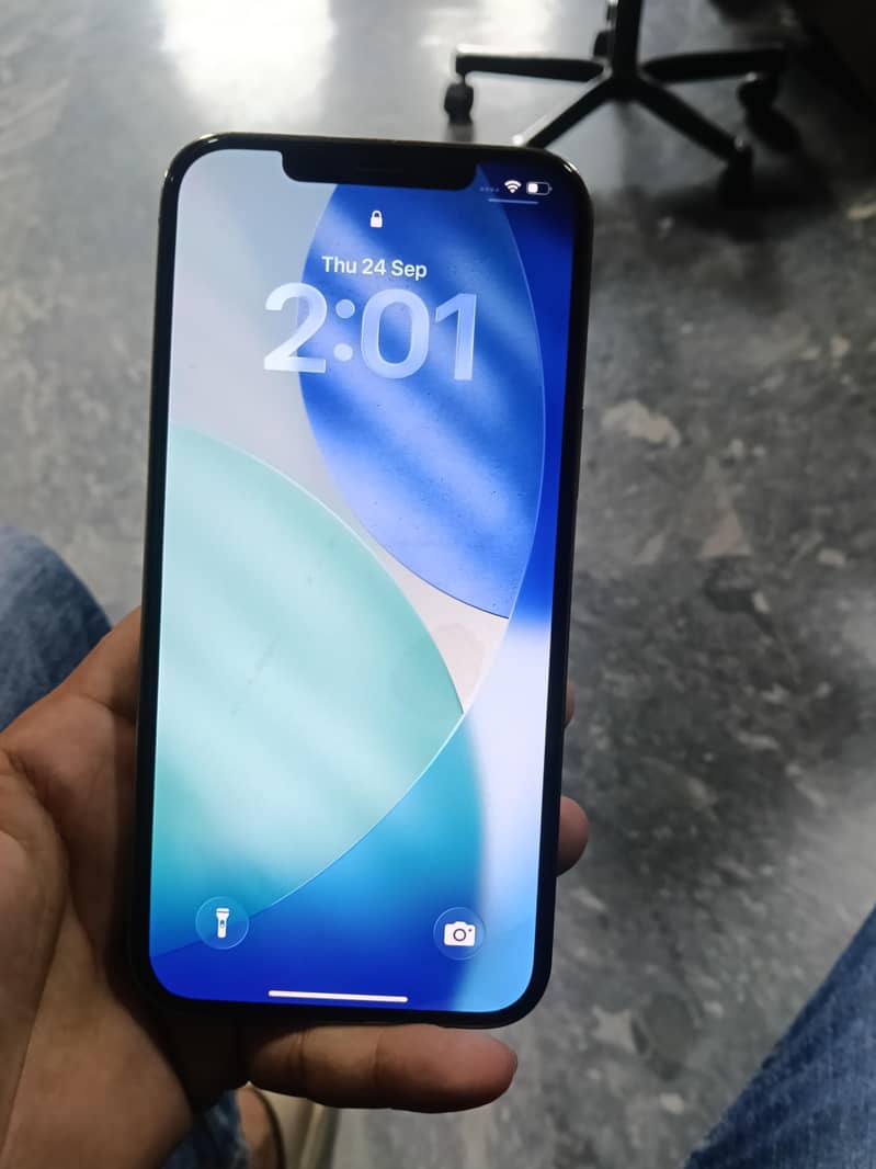 Apple iPhone 12 Pro Max 1
