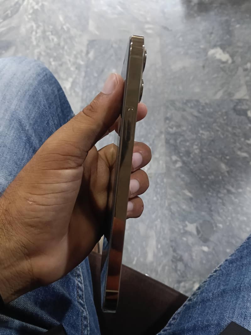 Apple iPhone 12 Pro Max 2