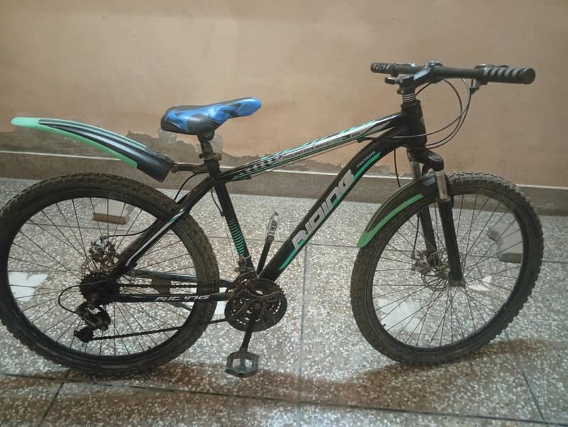 mountain bike 1