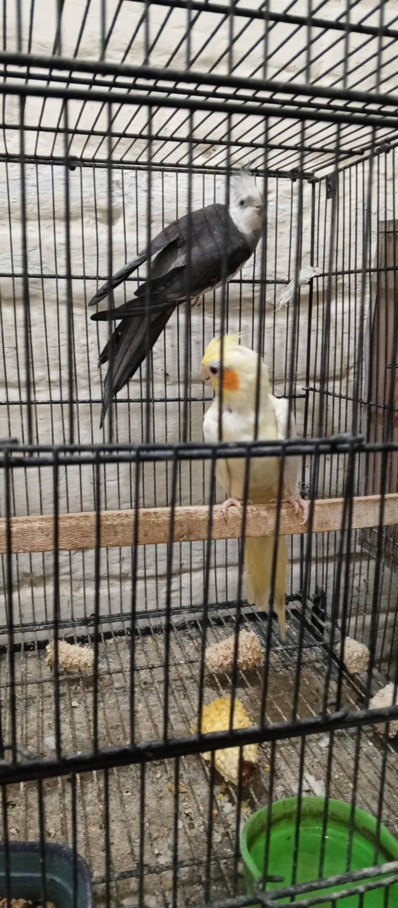 cocktail pair 0