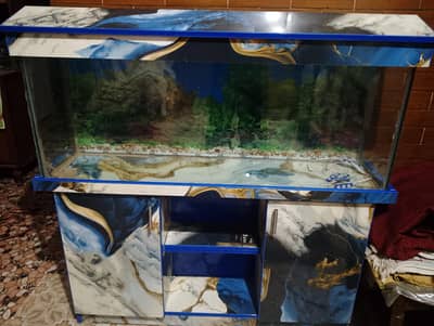 Brand New Aquarium