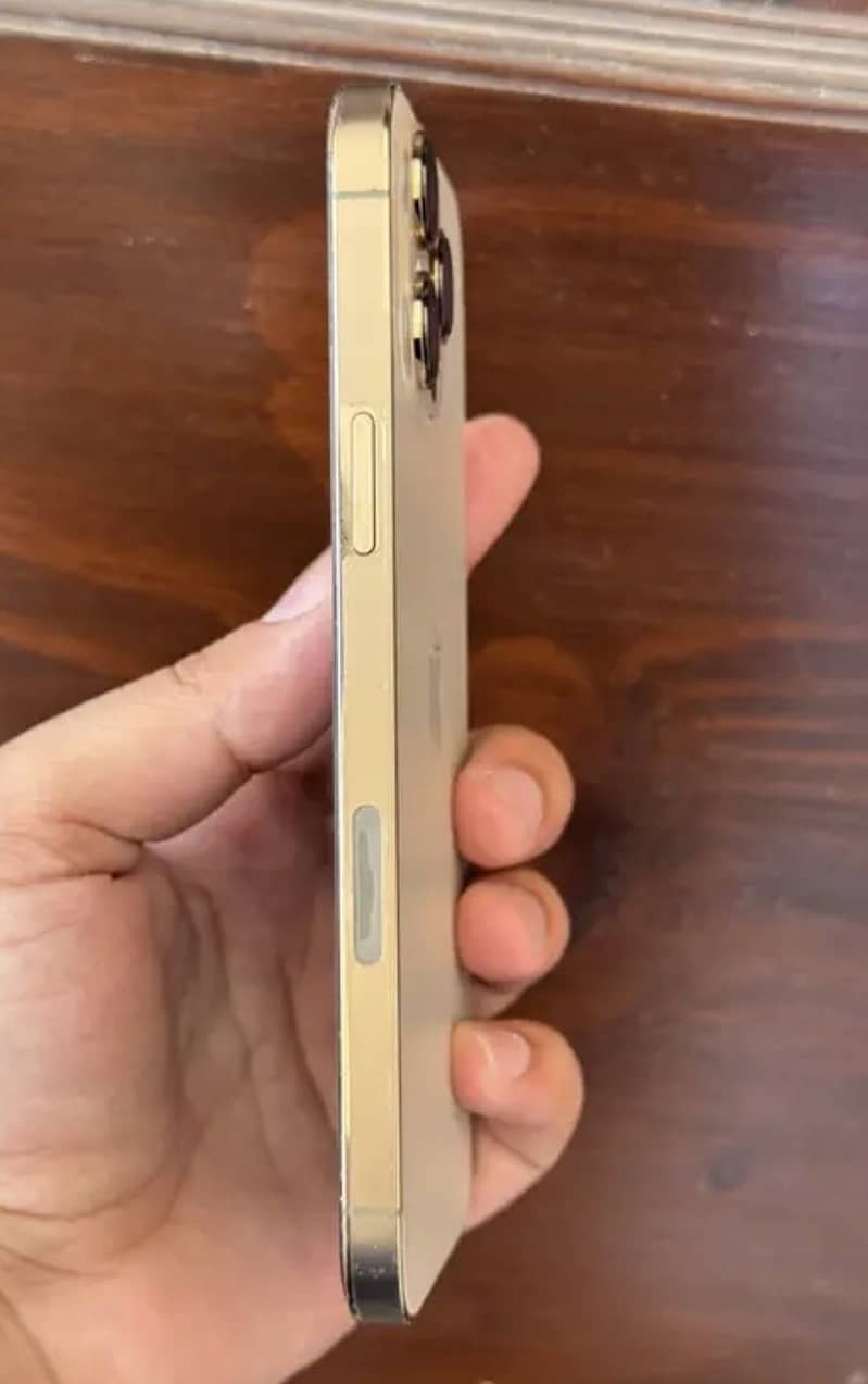 Apple iPhone 13 Pro Max 1