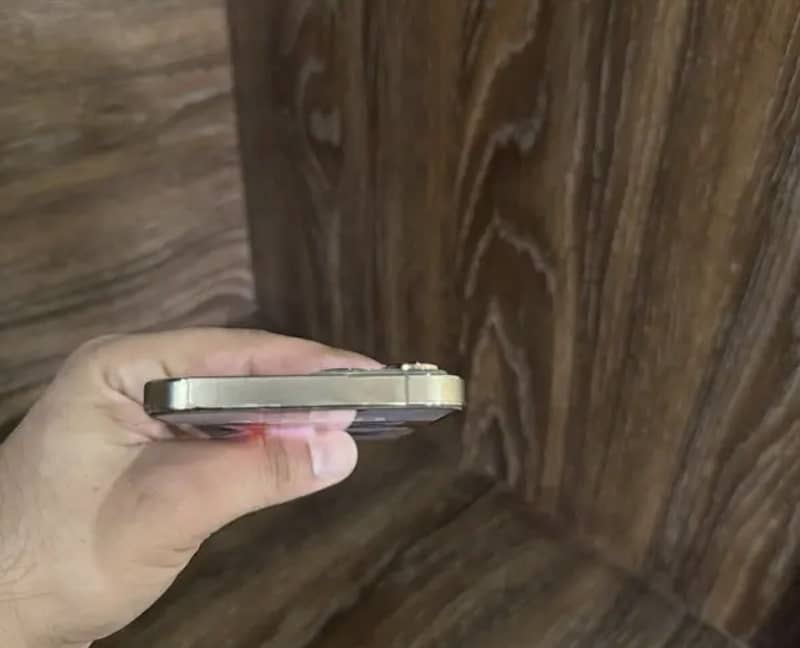 Apple iPhone 13 Pro Max 2