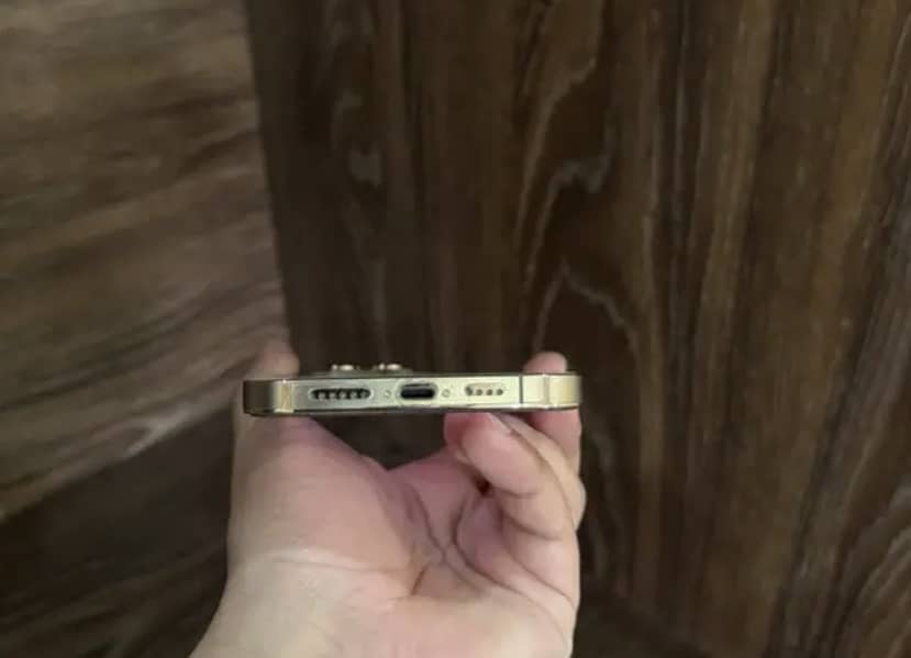 Apple iPhone 13 Pro Max 3