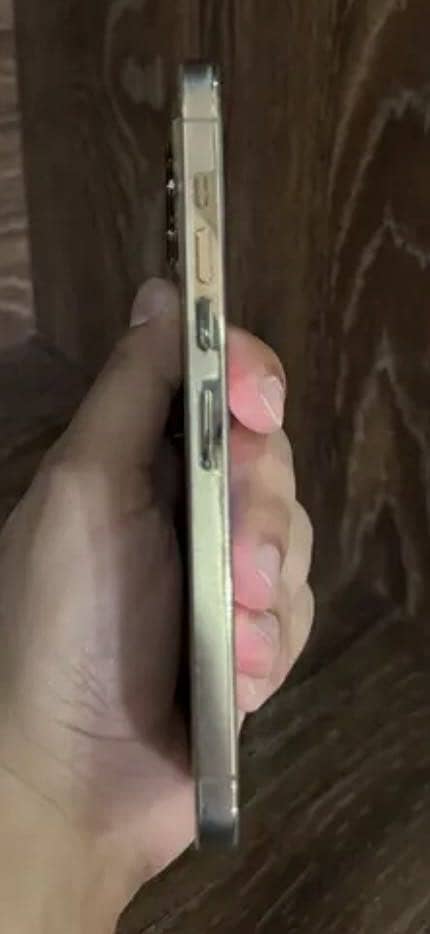 Apple iPhone 13 Pro Max 4