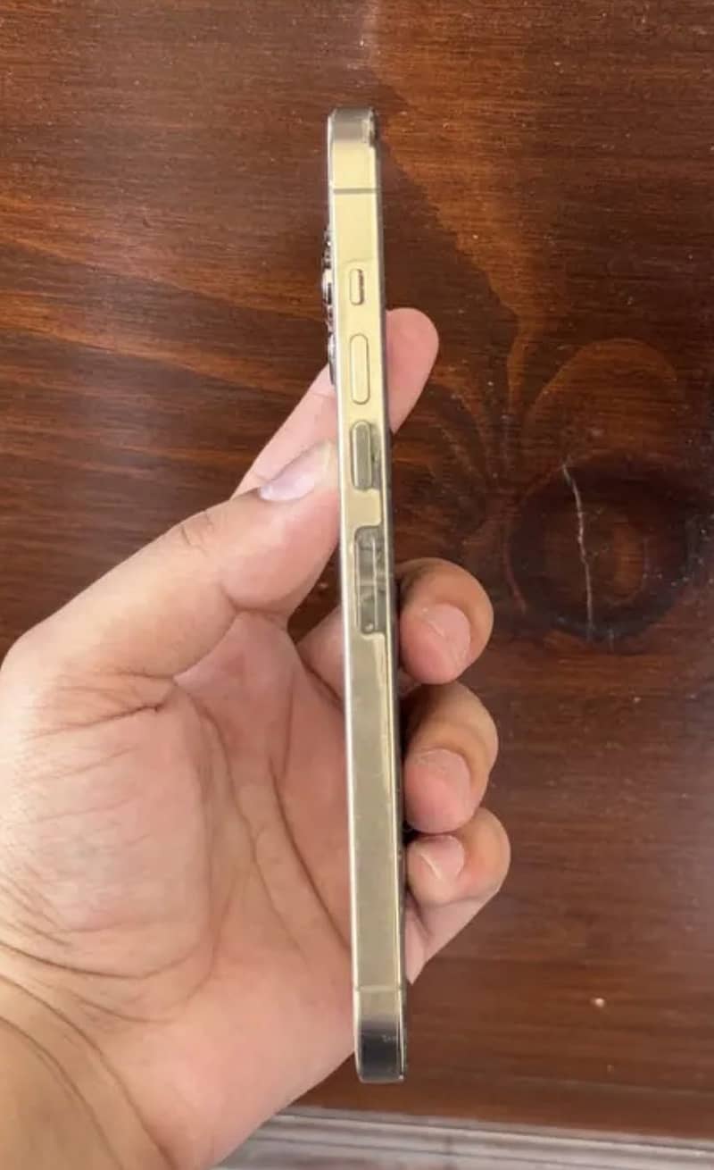 Apple iPhone 13 Pro Max 5