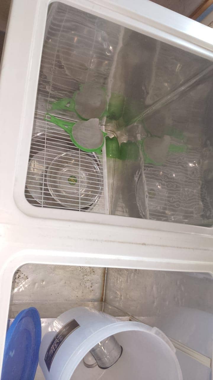 freezer 3