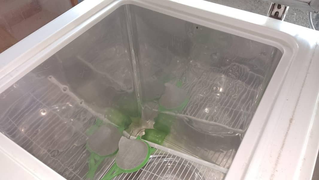 freezer 4