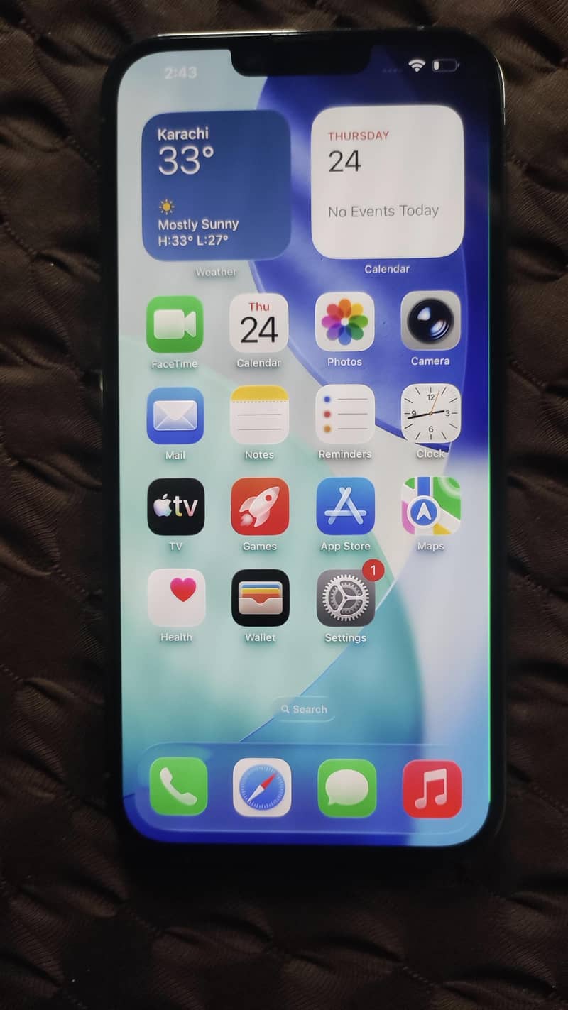 Apple iPhone 13 Pro Max 1