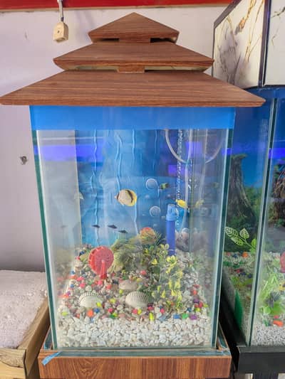fish tank/aquarium