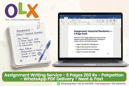 Assignment Writing - 5 Pages 200 Rs - Pakpattan
