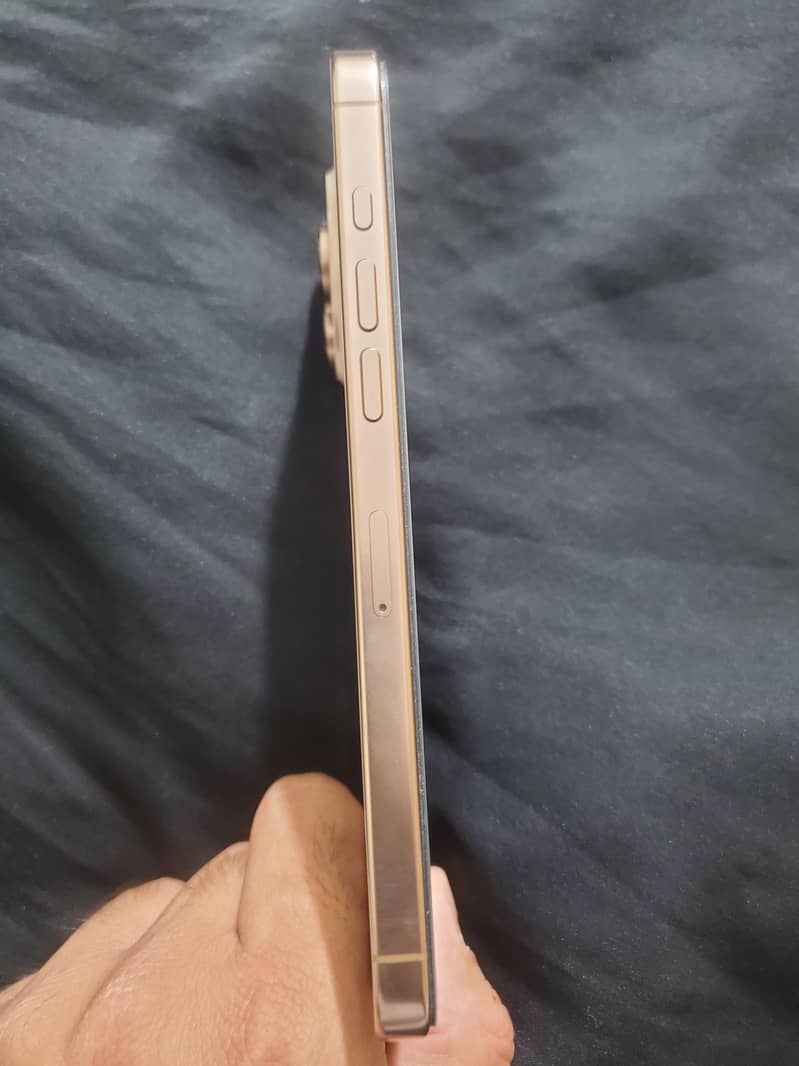 Apple iPhone 16 Pro Max 1